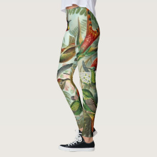 Hummingbirds by Ernst Haeckel, Vintage Birds Trees Leggings