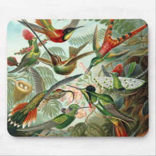 Hummingbirds by Ernst Haeckel, Vintage Birds Trees Mouse Pad