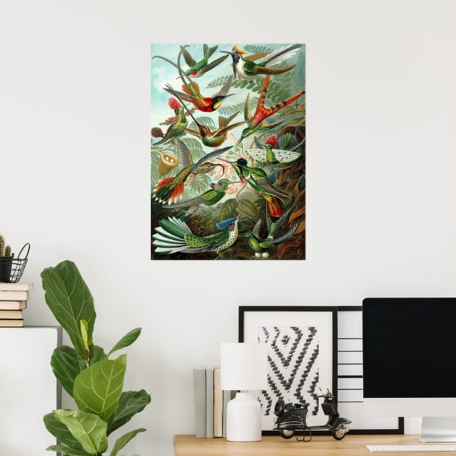 Hummingbirds by Ernst Haeckel, Vintage Birds Trees Poster (Home Office)