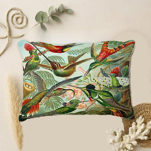 Hummingbirds by Haeckel Trochilidae Accent Pillow