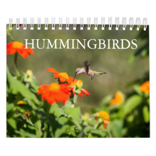 Hummingbirds Calendar