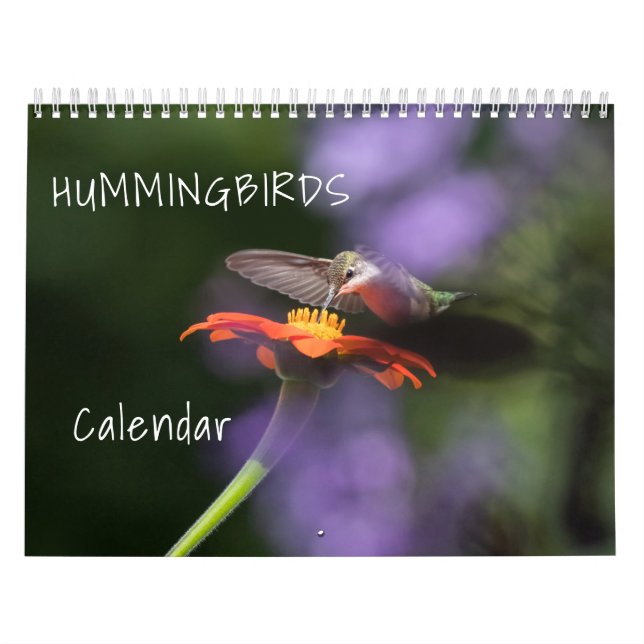 Hummingbirds Calendar (Cover)