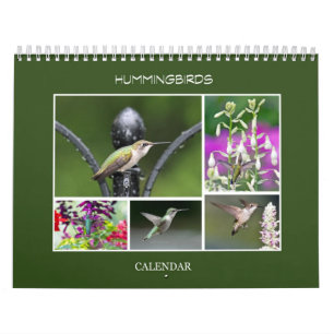 Hummingbirds Calendar