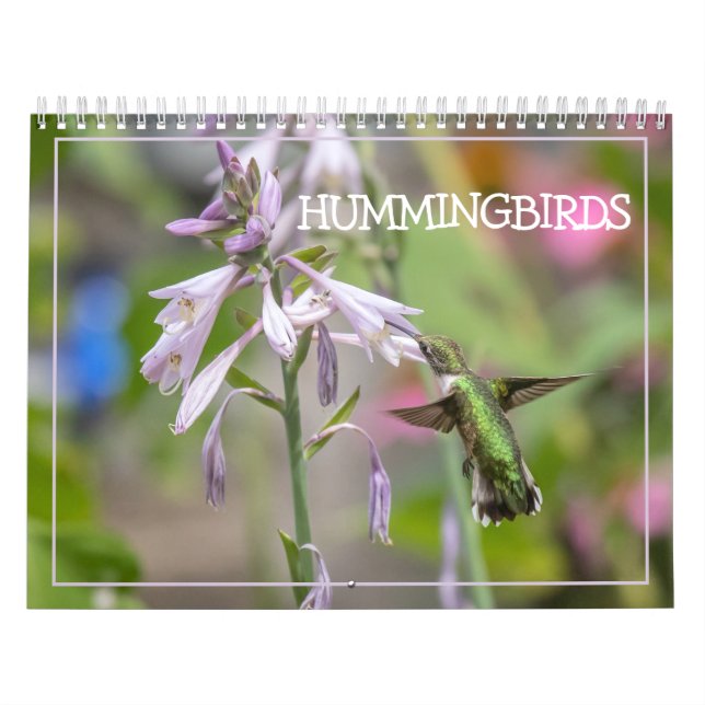 Hummingbirds Calendar (Cover)
