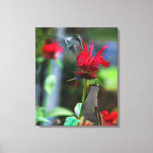 HUMMINGBIRDS- Canvas Print  - 20 x 24