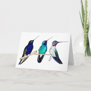 Hummingbirds Card