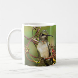 Hummingbirds Coffee Mug by BirdingCollectibles