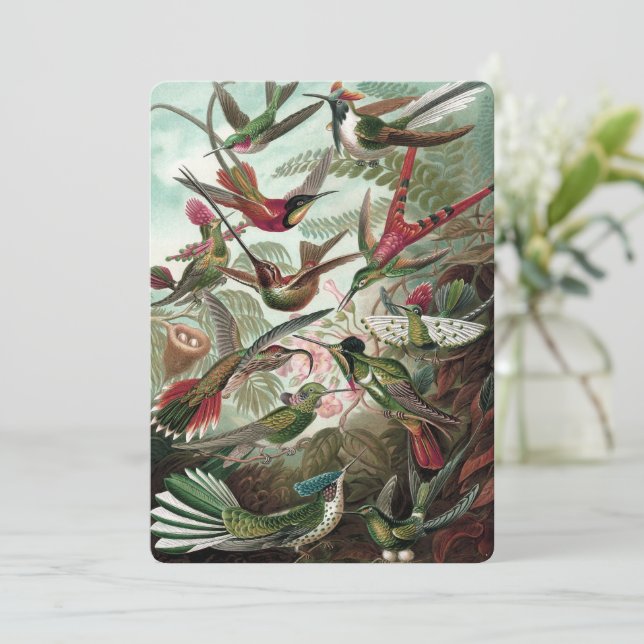  Hummingbirds - Ernst Haeckel Invitation (Standing Front)