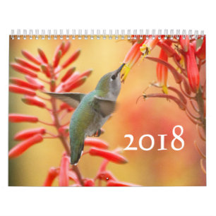 Hummingbirds galore calendar