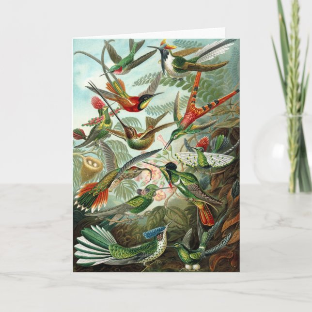 Hummingbirds Greeting Card (Front)