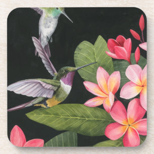 Hummingbirds In the Plumeria Coaster