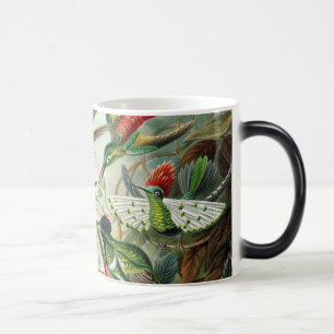 Hummingbirds Magic Mug