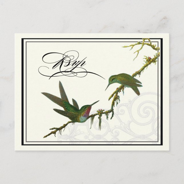 Hummingbirds n Swirls - Carte postale Mariage RSVP (Devant)