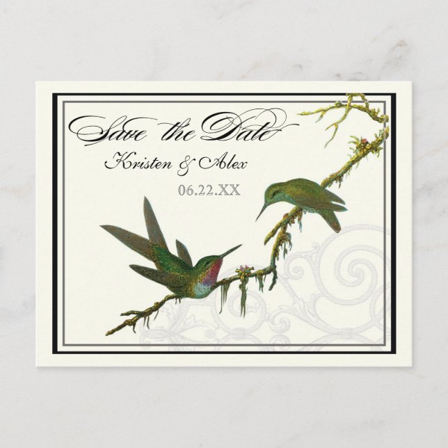 Hummingbirds n Swirls  -  Save the Date Postcard (Front)