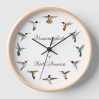 Hummingbirds of North America Clock