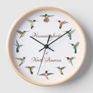Hummingbirds of North America Clock