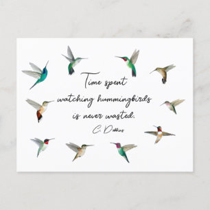 Hummingbirds of North America Postcard
