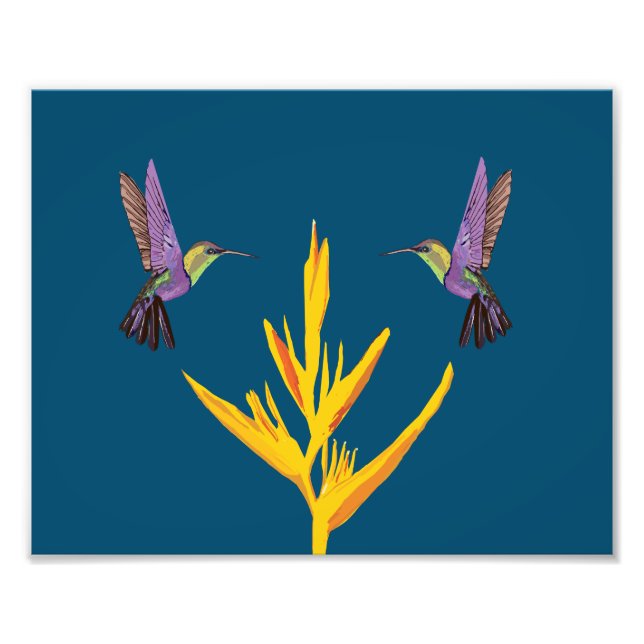 Hummingbirds Photo Print (Front)