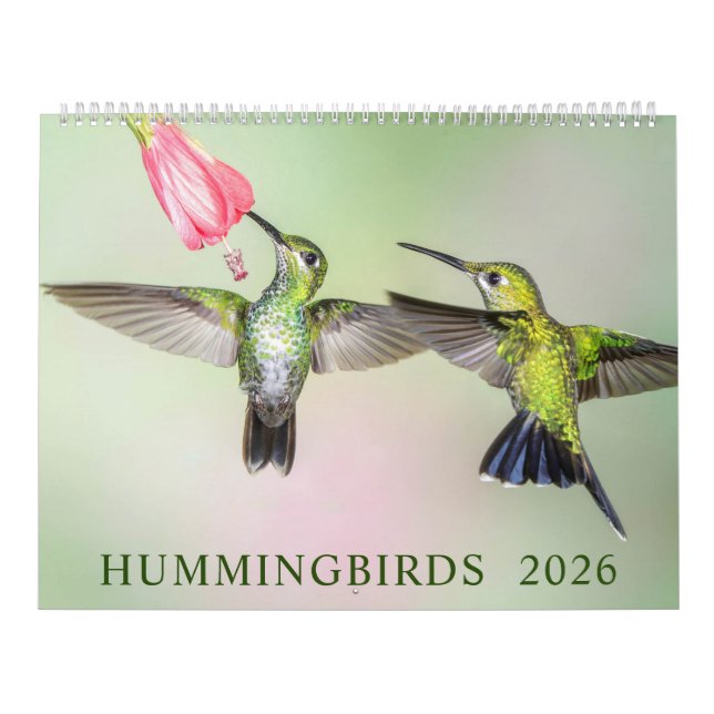 Hummingbirds Photography 2023 Calendar (Cover)