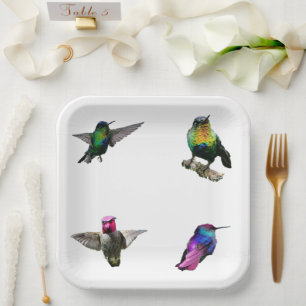 Hummingbirds Plain background Paper Plate