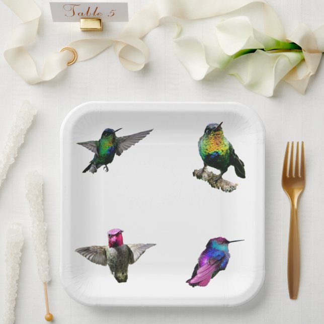 Hummingbirds Plain background Paper Plate (Wedding)