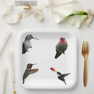 Hummingbirds Plain Background paper plates