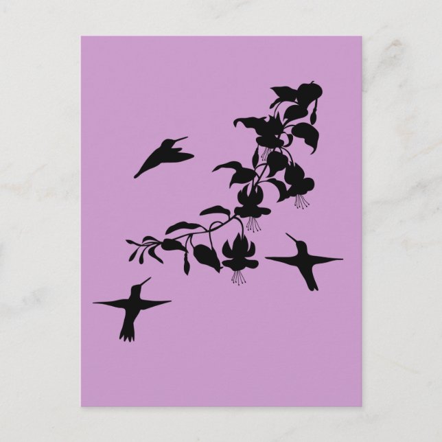 Hummingbirds Postcard (Front)