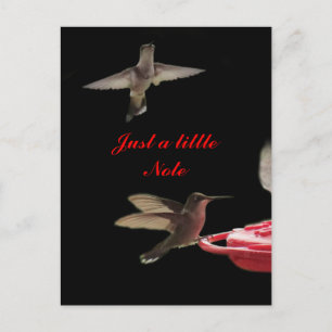 Hummingbirds Postcard #ct98721- customize
