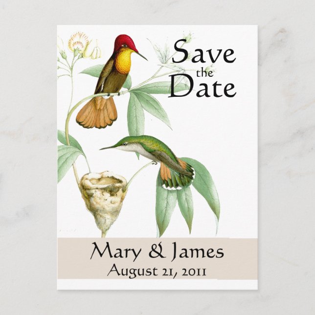 Hummingbirds Save the Date Postcard (Front)