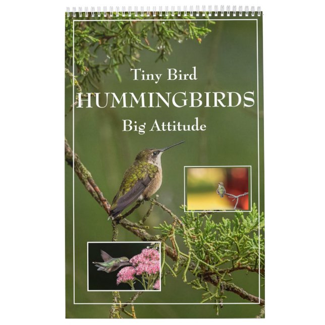  Hummingbirds Tiny Bird Big Attitude Calendar (Cover)