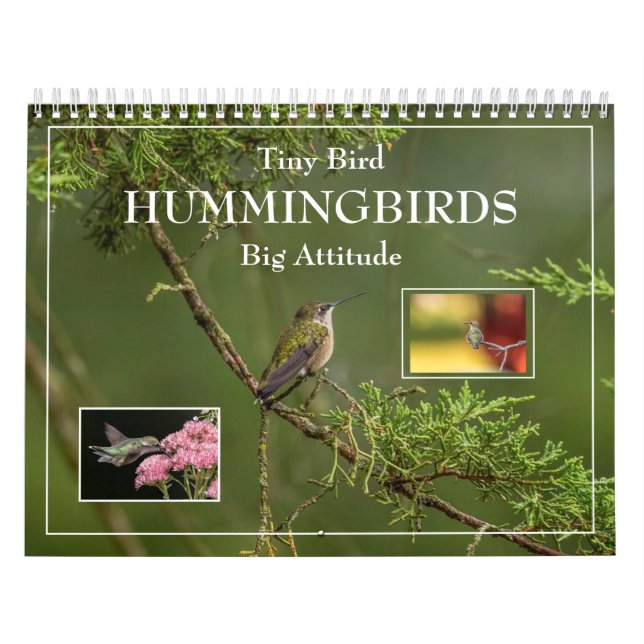  Hummingbirds Tiny Bird Big Attitude Calendar (Cover)