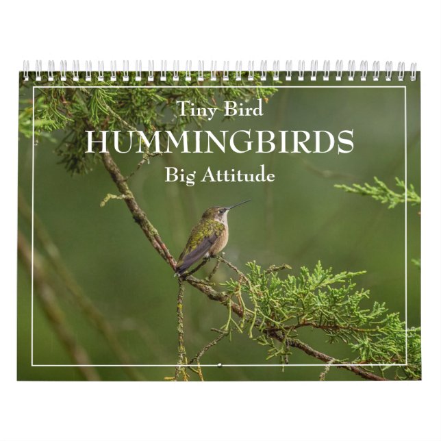 Hummingbirds Tiny Bird Big Attitude Calendrier (Protection)