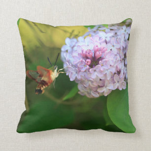 Hummmingbird Moth Throw Pillow
