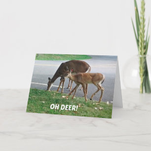 Humorous belated Birthday wishes Card