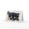 Humorous Cow "Getting Older" Birthday Card