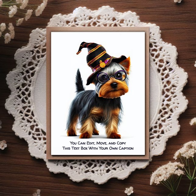 Humorous Customizable Any Occasion Postcard (Creator Uploaded)