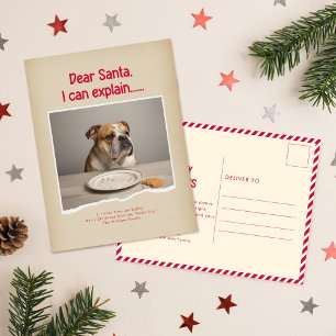 Humorous Funny Dog Pet Family Christmas Postcard
