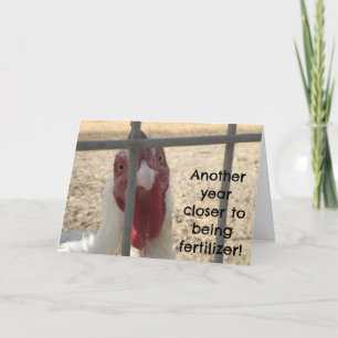 Humorous Old Adult Birthday Card