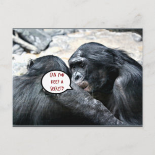 Humour - Can you keep a secret? Postcard