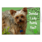 Humour carte de remerciements