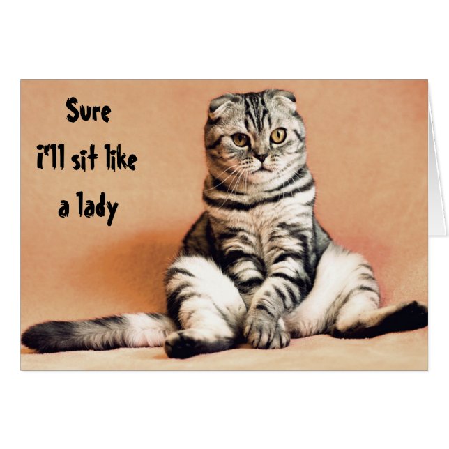 Humour de chat assis comme une dame drôle (Devant horizontal)