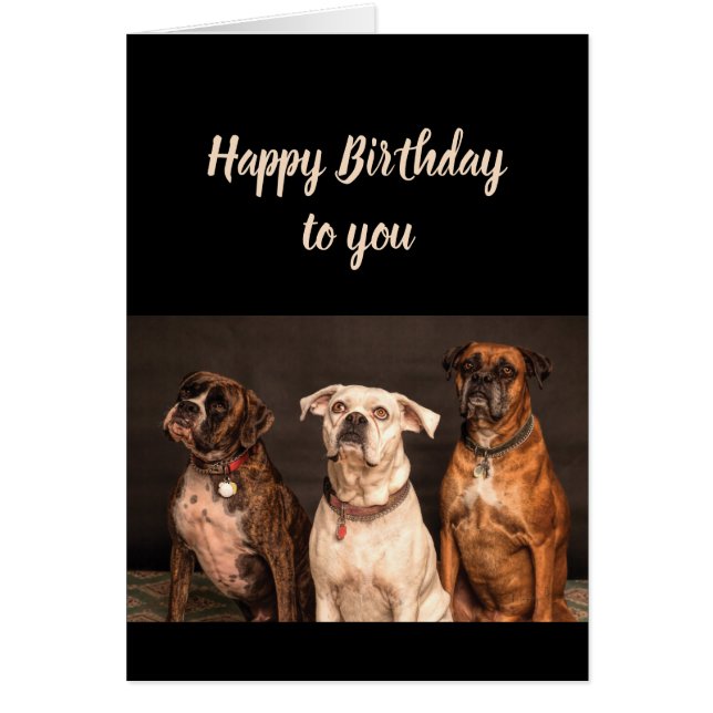 Humour de gâteau d'anniversaire de tous nous Boxer (Devant)