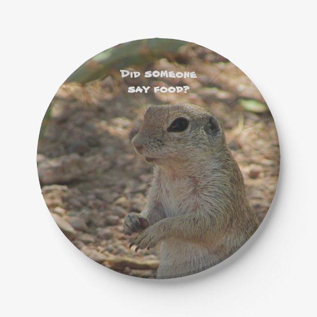Humourous Adorable Ground Squirrel Photo Southwest Paper Plate (Front)