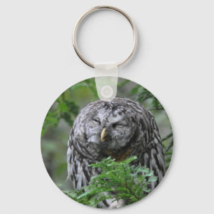 Humourous Barred Owl Keychain