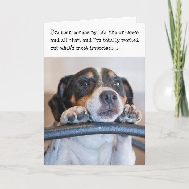 Humourous Birthday Card - Dog Pondering Life (Front)