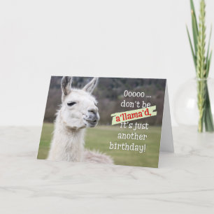 Humourous Birthday Card - The Happy Llama
