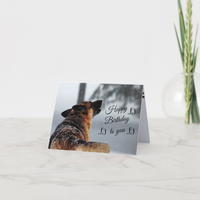 Humourous Birthday Greeting with German Shepherd Card (Front)