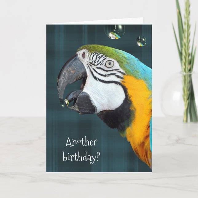 humourous birthday-parrot with bubbles card (Front)