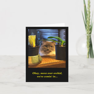 Humourous Birthday Wish Card