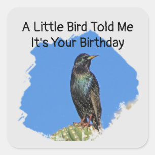 Humourous Birthday Wishes Starling Envelope Seal